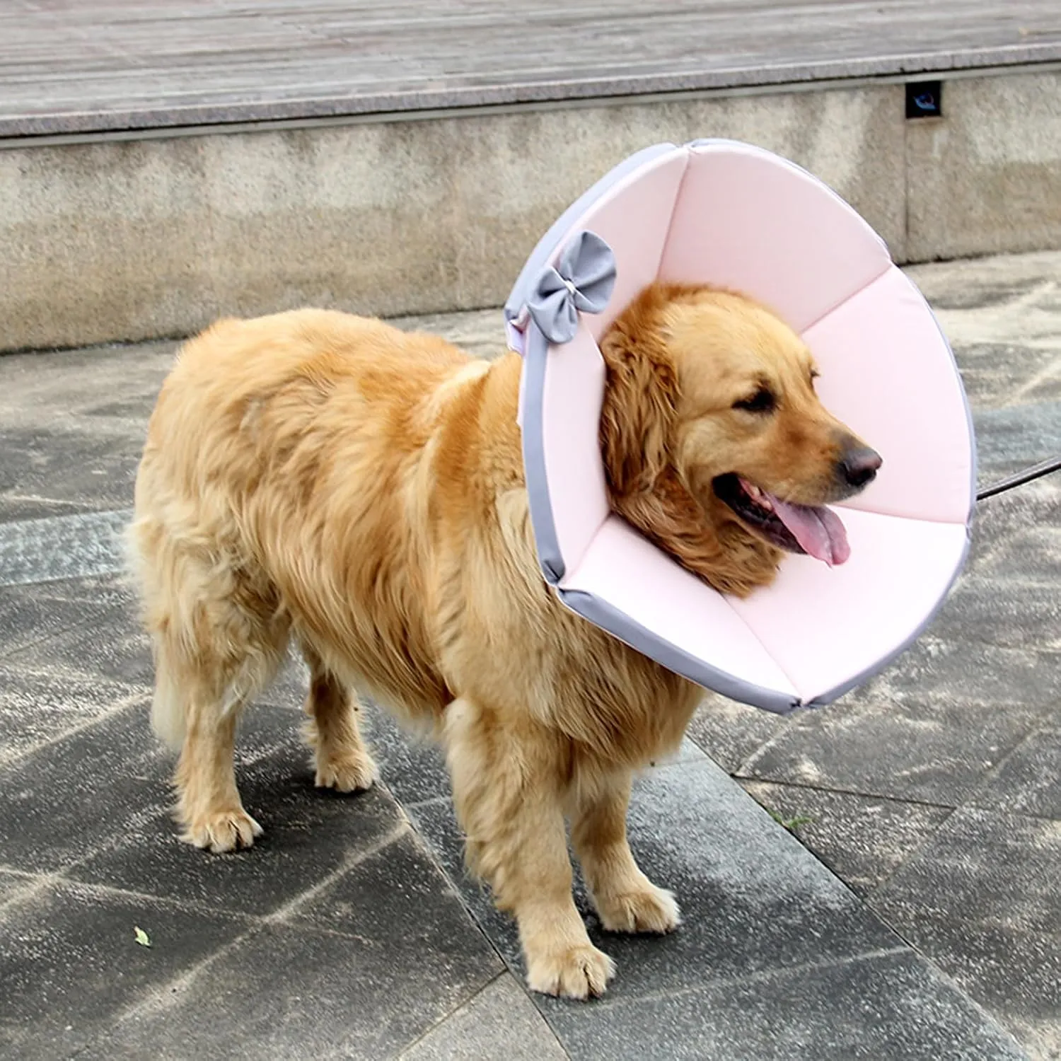 ABLAZEZAI Pet Cone Collar for Dog Cat, After Surgery Alternative Recovery Collars for Dogs, Dogs Cats Soft Elizabeth E-Collar Prevent Biting Licking Scratching (Pink, L)