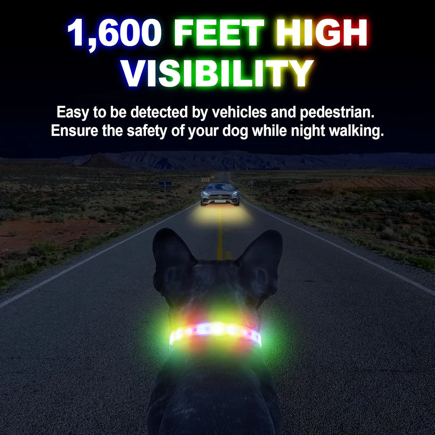 Airtag Dog Collar Light Dog Collars with AirTag Holder Rechargeable LED Glowing Dog Collar Adjustable Bright Cool Collar for Dogs in The Dark Waterproof Blue