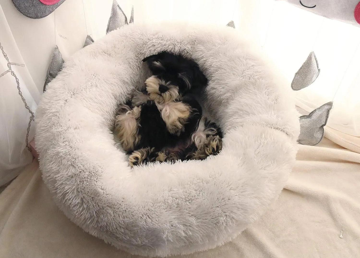 BODISEINT Modern Soft Plush Round Pet Bed for Cats or Small Dogs, Mini Medium Sized Dog Cat Bed Self Warming Autumn Winter Indoor Snooze Sleeping Cozy Kitty Teddy Kennel (20 D x 8'' H, White)