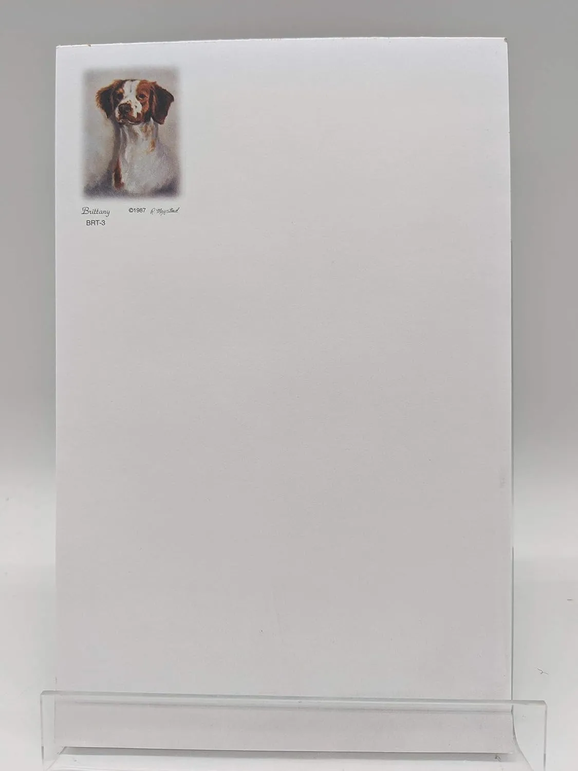 Brittany Pet Dog Note Pad Set - 5 Note Pads by Ruth Maystead