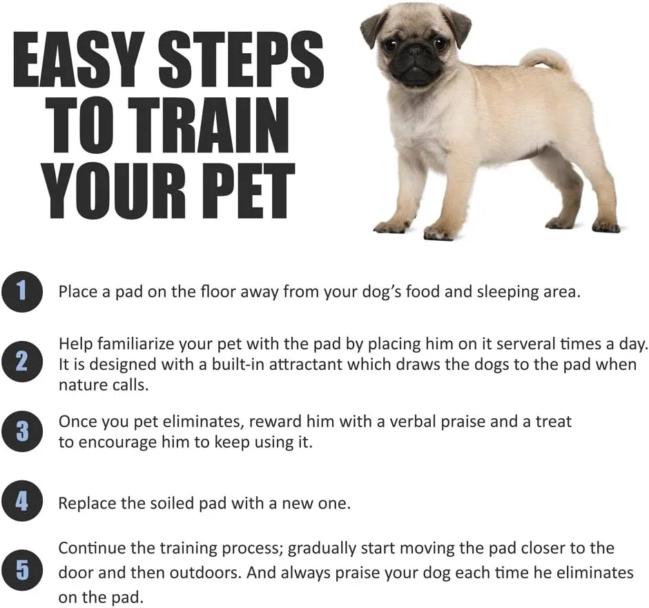 BV Pet Training Pads for Dogs and Puppies, X-Large 28" x 34" Training Pad, Quick Absorb, Dog Pee Pads, Doggie Potty Pads, Disposable Puppy Pads XL (40-Count), Extra Large Dog Pads