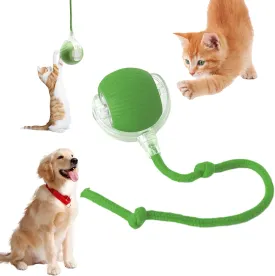 Chewie Viral Rolling Ball, Interactive Cat Toys Ball for Indoor, Cats Interactive Self Rolling Ball Dog Ball Automatic Cat Toy 360 Smart Automatic Rolling Pet Ball (Green)