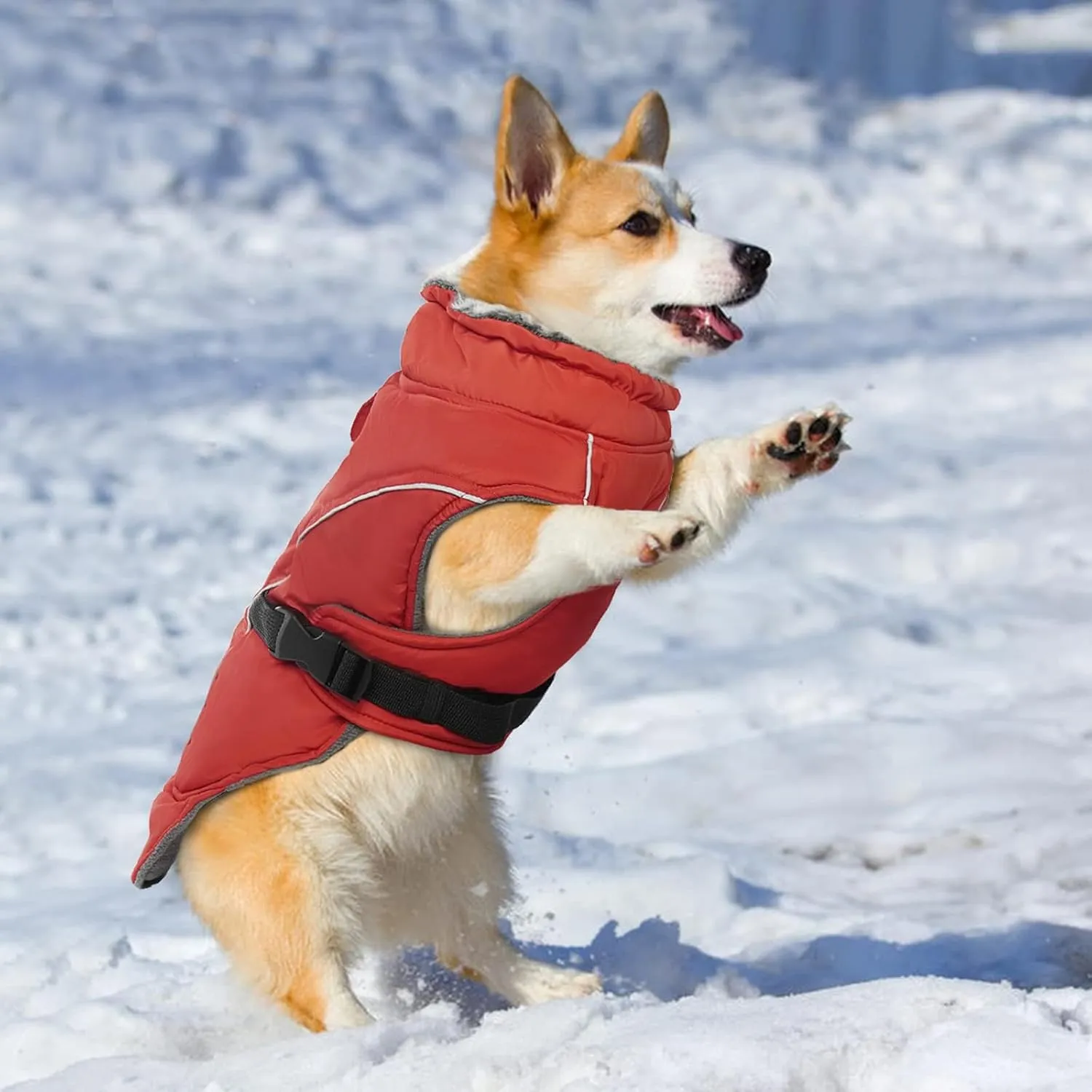DENTRUN Dog Winter Warm Coat - Windproof Cozy Jacket with Thick Fleece, Water Repellent, Reflective for Outdoor Small to Large Dogs