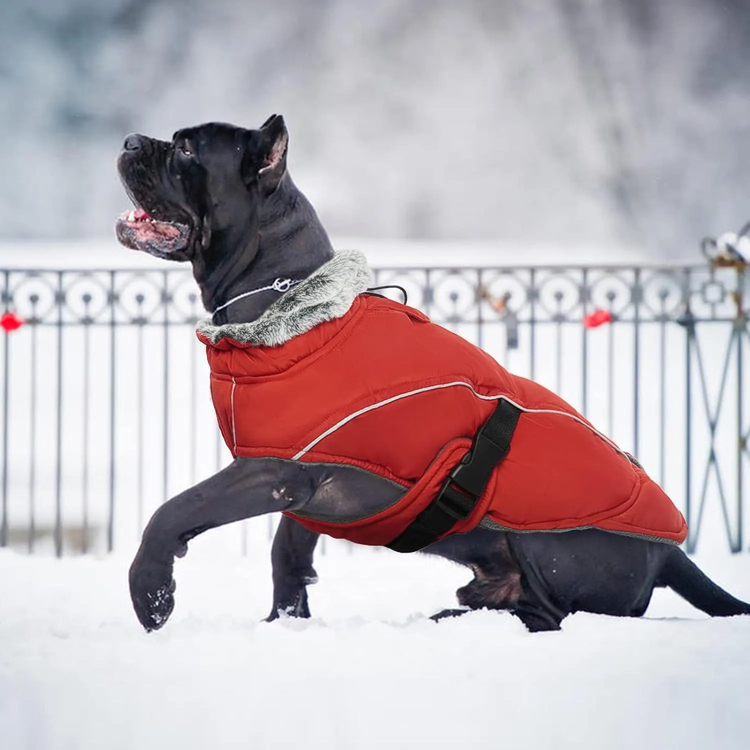 DENTRUN Dog Winter Warm Coat - Windproof Cozy Jacket with Thick Fleece, Water Repellent, Reflective for Outdoor Small to Large Dogs