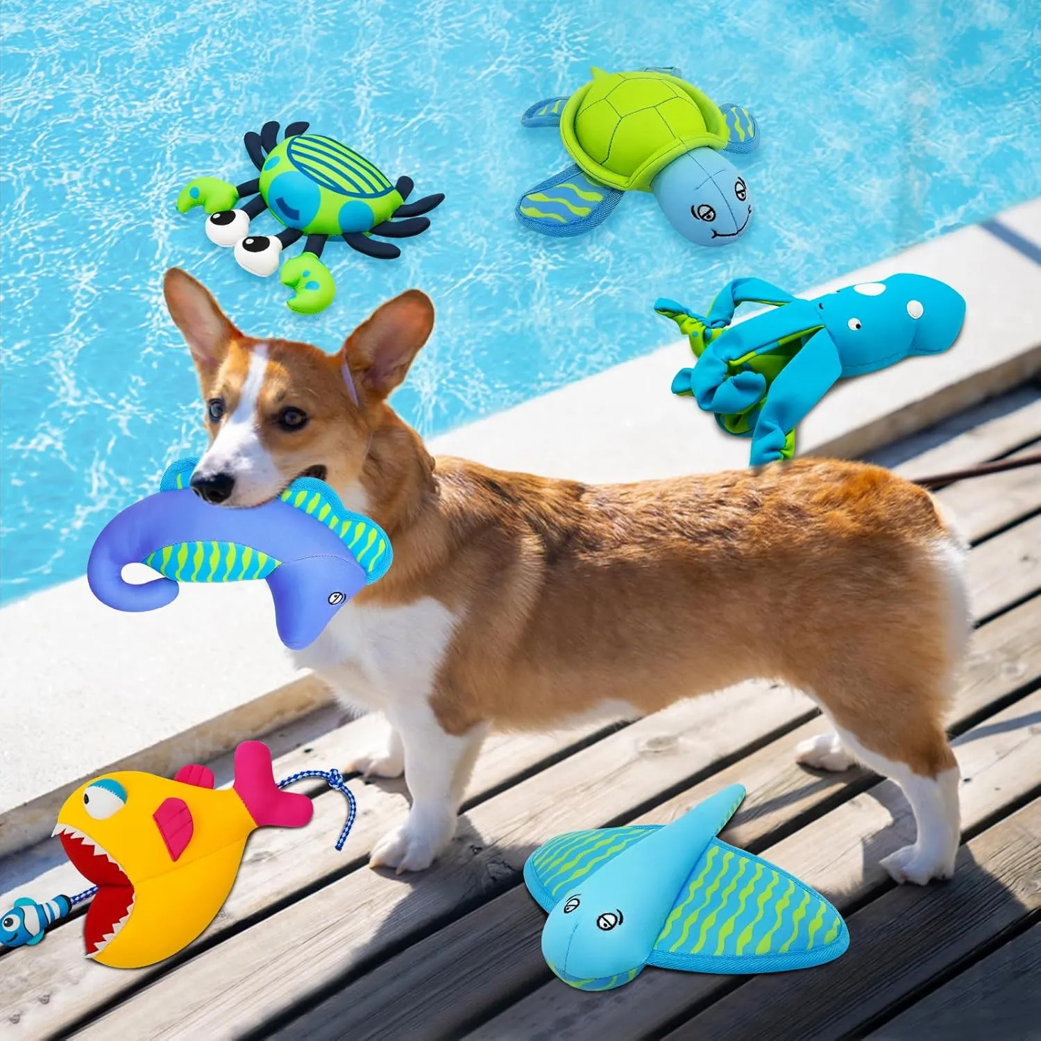Dog Pool Toys, Floating Water Toys for Dogs, Squeaky Dog Toys for Water or Pool, Outdoor Beach Interactive Dog Toys for Small and Medium Dogs  Turtle