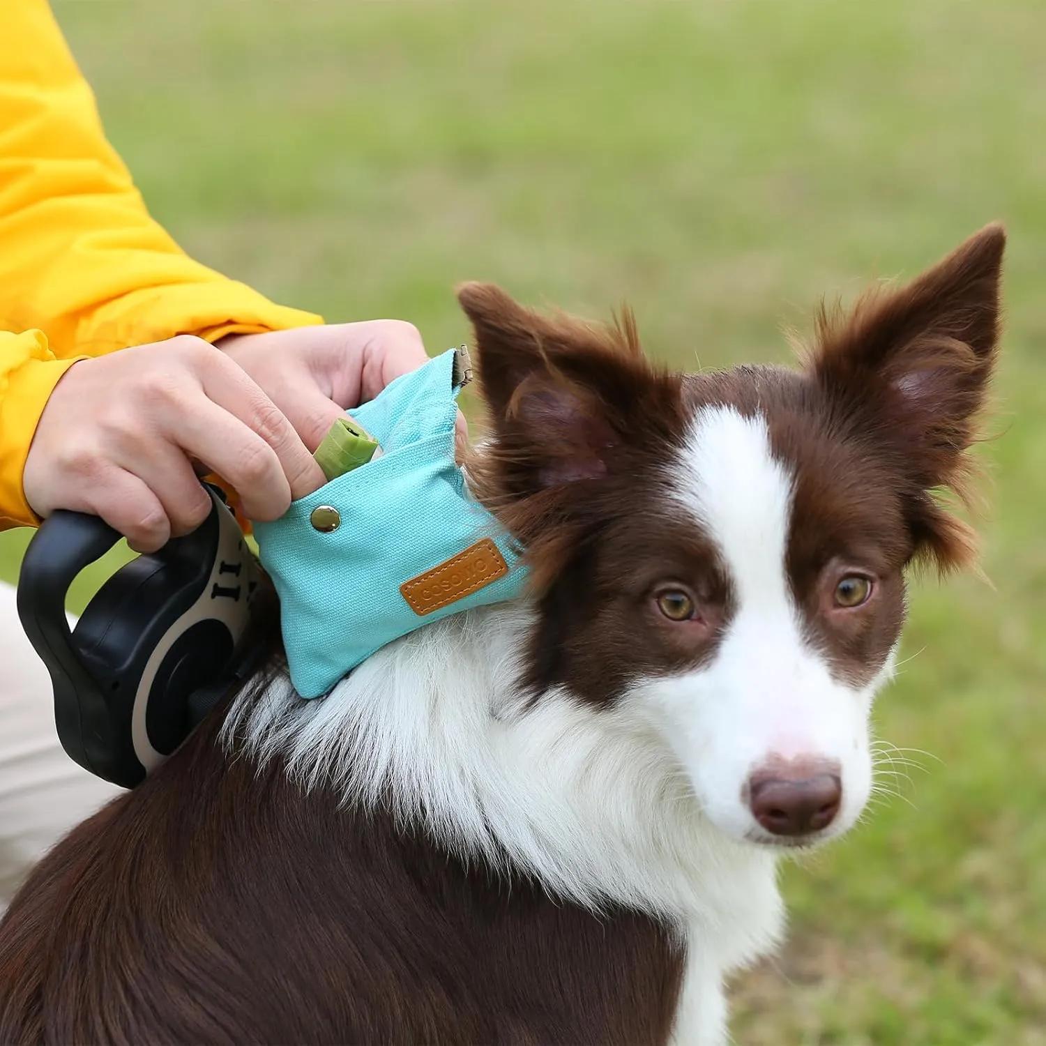 Dog Treat Pouch, Hand Free Dog Training Treat Bag with Carabiner & Magnetic Buckle, Auto Closing Dog Walking Bag for Puppy Travel or Outdoor Use, Pet Feed Snack Reward Pocket, Blue