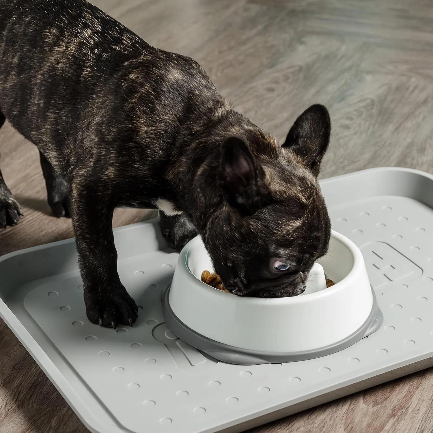 IRIS USA 2 Cup Slow Feeder Dog Bowl for Short Snouted Pets, White/Gray