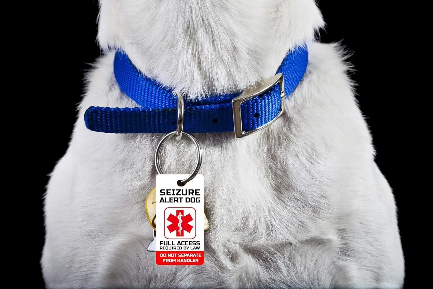 Just 4 Paws PVC Seizure Alert Service Dog Key or Collar Tag for ADA Seizure Alert Dog (Seizure Alert SA21)