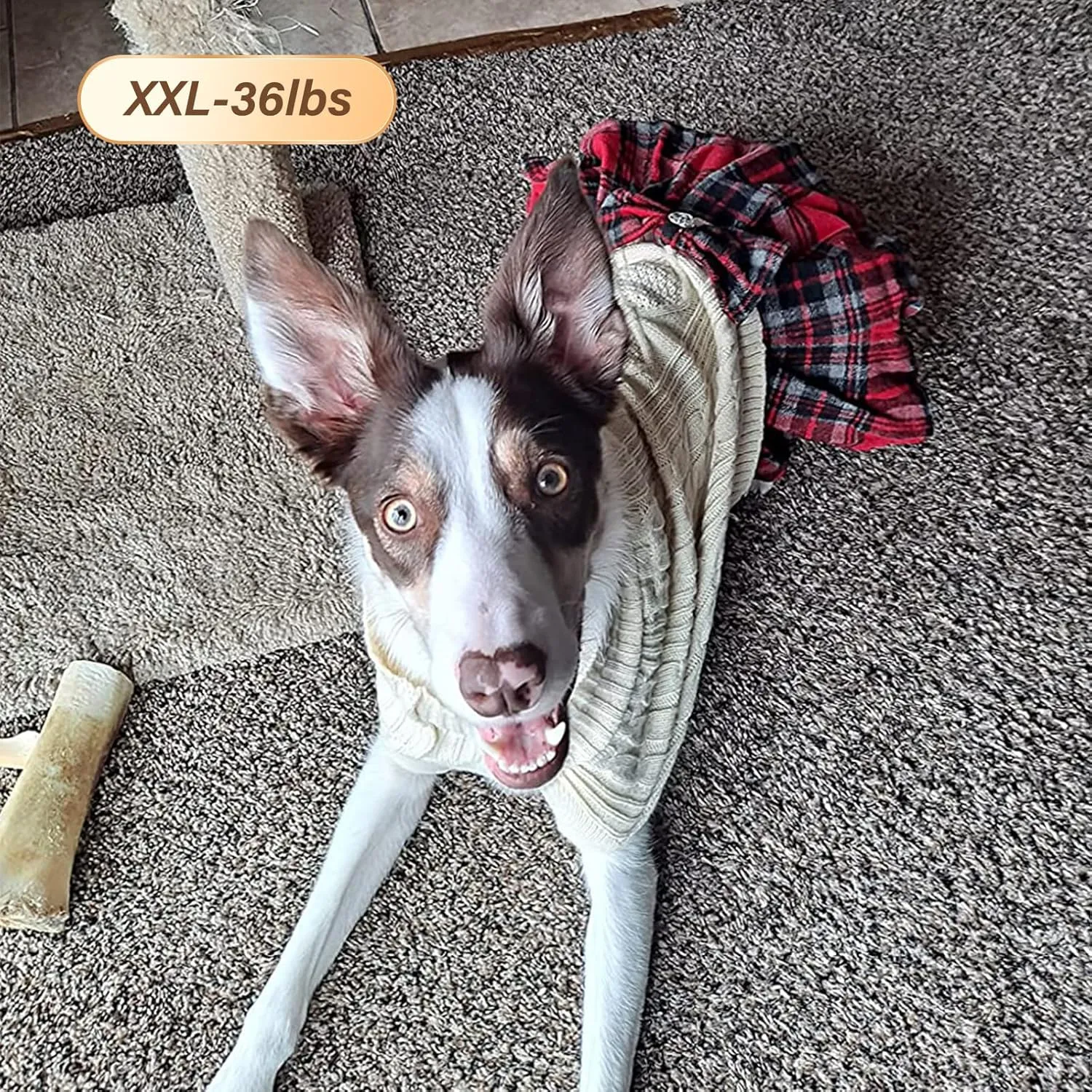 KYEESE Dog Sweaters Turtleneck Dog Sweater for Medium Large Dog Knitwear Sweater with Bowtie Warm Dogs Sweater Dress Pet Clothes Dogs Coats Pet Sweater Beige