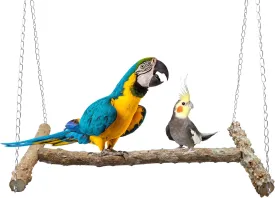Large Bird Perch Swing Toy, Natural Pepper Wood Parrot Perch Stand Toy, Hangable Birdcage Accessories with Stainless Steel, Bird Chewing Toy for Parrot Parakeet Budgies Lovebirds(1810 Inches(LW))