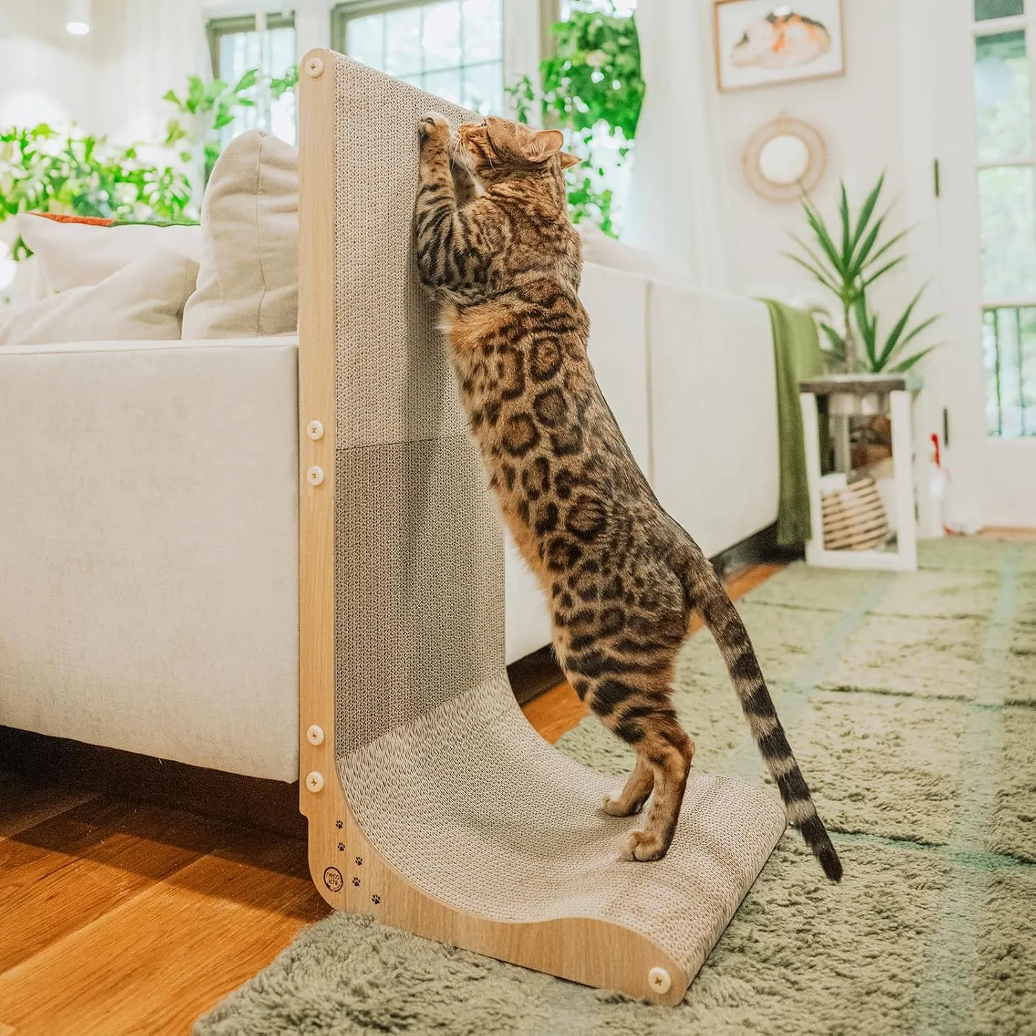 Necoichi Cardboard Cat Scratcher Wall for Indoor Cats - Cat Scratching Board, Cat Scratch Pad Lounger with Reversible Usability and Extra Comfort for Lounge, Curved (Oak, Large)