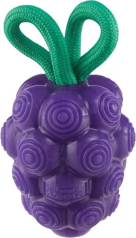 Outward Hound by Planet Dog Dental Grapes 2-in-1 Interactive Dog Chew Toy and Treat Stuffer, Medium, Purple