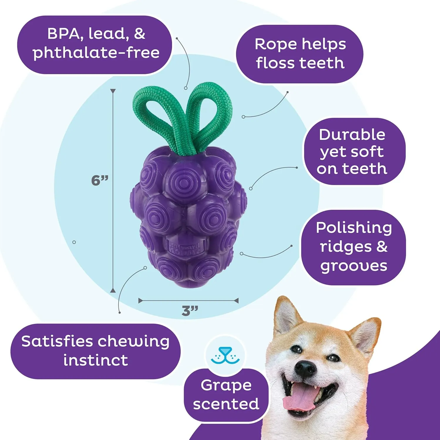 Outward Hound by Planet Dog Dental Grapes 2-in-1 Interactive Dog Chew Toy and Treat Stuffer, Medium, Purple