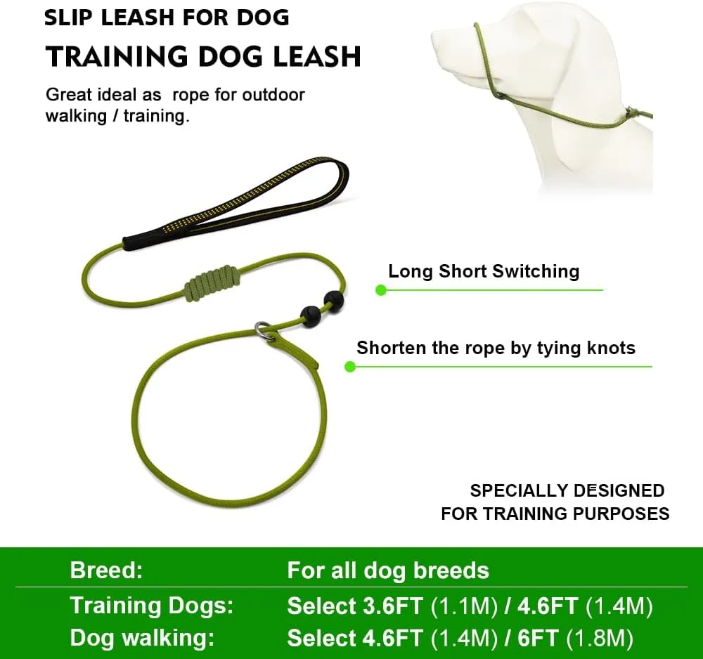Slip Leads for Dogs,Top Speed Training Dog Leash,2-in-1 Slip Collar Dog Training Lead & Collar,4ft Thin Slip Lead,sturdyand Durable, Leash Suitable for Small, Medium, and Large Dogs(Pink)