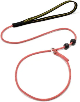 Slip Leads for Dogs,Top Speed Training Dog Leash,2-in-1 Slip Collar Dog Training Lead & Collar,4ft Thin Slip Lead,sturdyand Durable, Leash Suitable for Small, Medium, and Large Dogs(Pink)