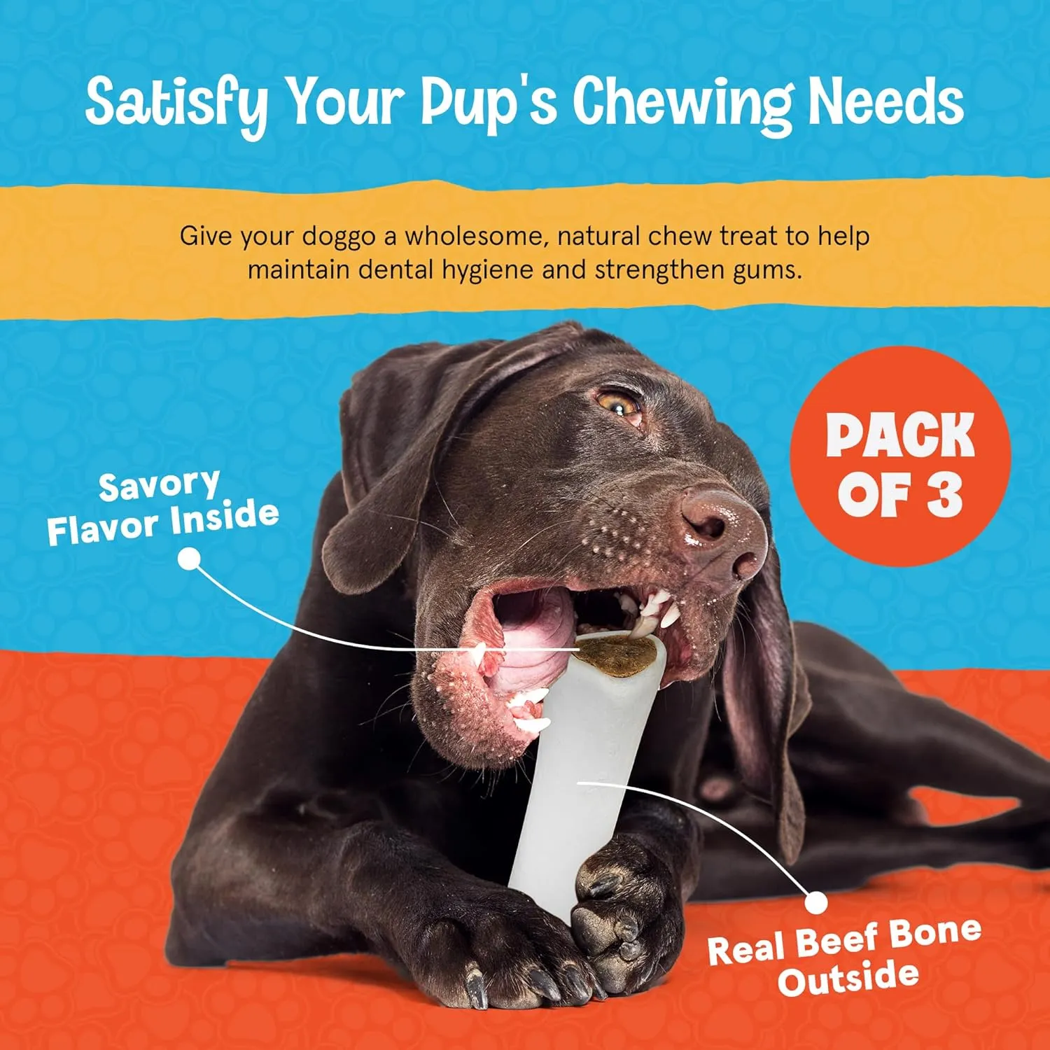 Stuffed Shin Bones for Dogs - Peanut Butter Flavor - 5-6 Inch Dental Chews - Filled Bone Treats for All Ages - Highly Digestible, High Protein - for Small, Medium and Large Pets - 3 Pack