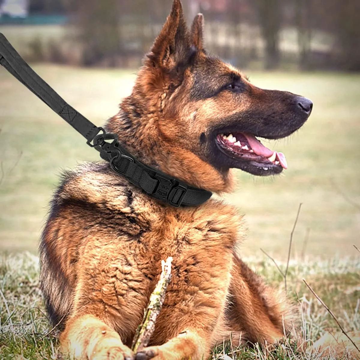 Tactical Dog Collar and Leash Set Adjustable Military Heavy Duty Dog Collar with Handle and Metal Buckle for Medium and Large Dogs (XL, Black)